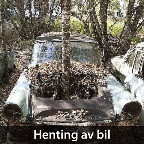 Bilopphuggeri sverige